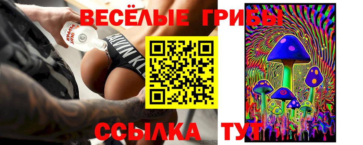 Миллерово  Галлюциногенные грибы Psilocybe  Вход с VPN 
